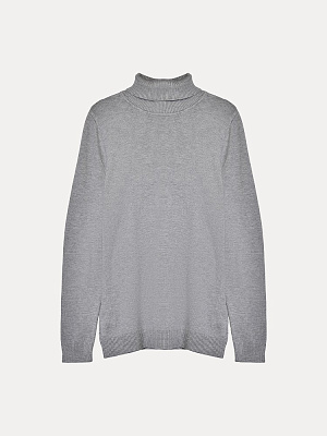 Водолазка мужская (V2418) 